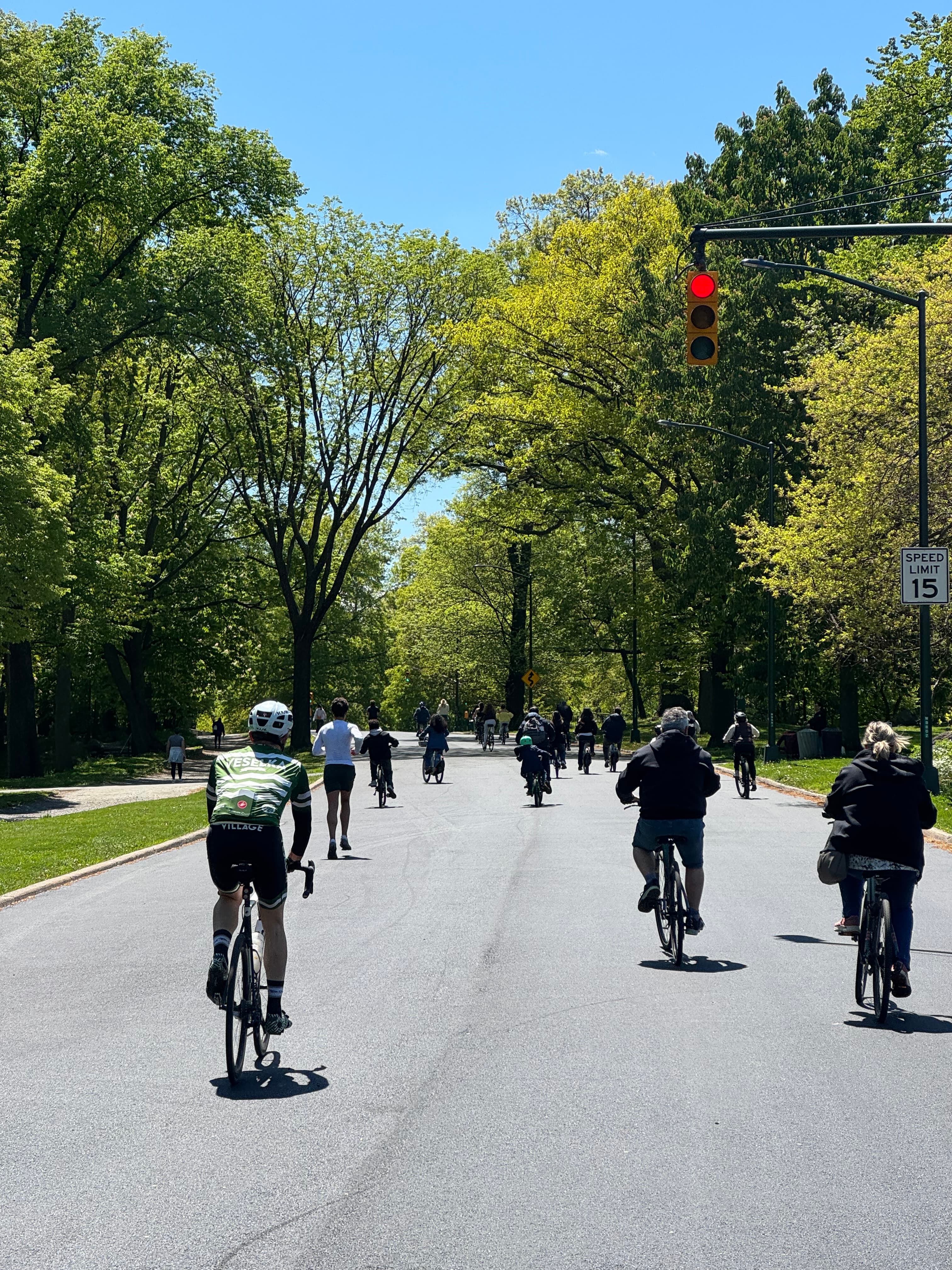 People cycling along a leafy, car-free city street